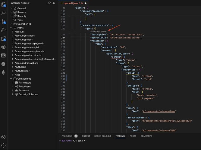 VSCode_Audit_Operation